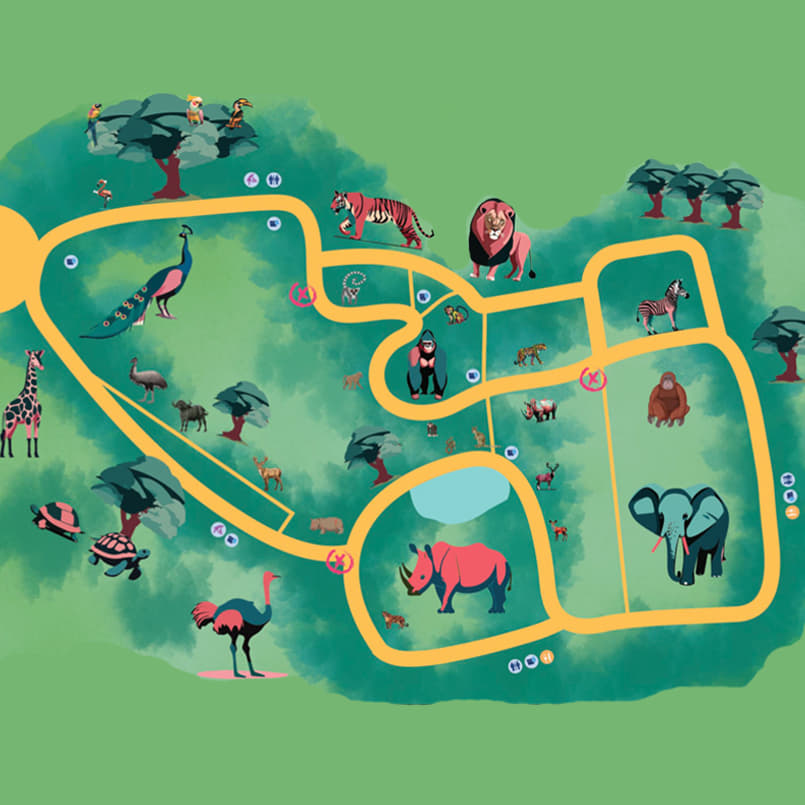 Ecole Intuit Lab EILB Live Project - Mysore Zoo photo 6